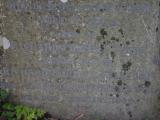 image of grave number 950033